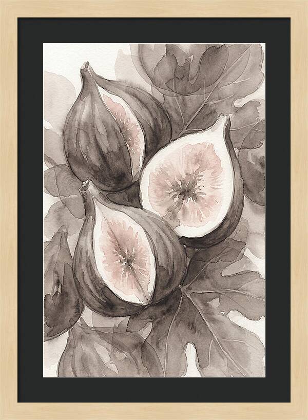 Fresh Figs Revealed In Watercolor