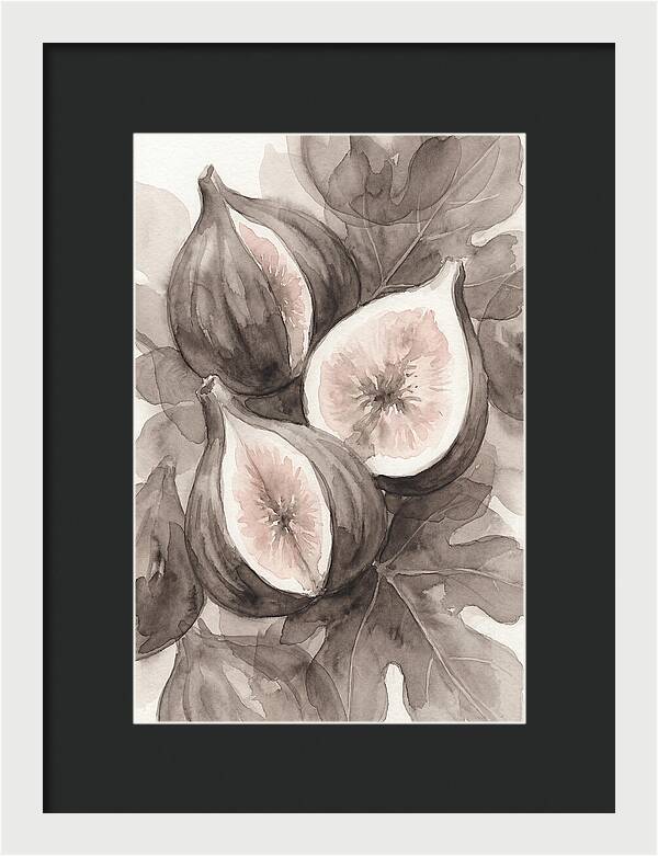 Fresh Figs Revealed In Watercolor