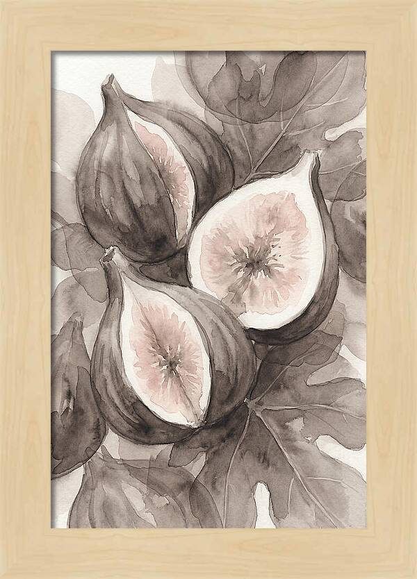 Fresh Figs Revealed In Watercolor