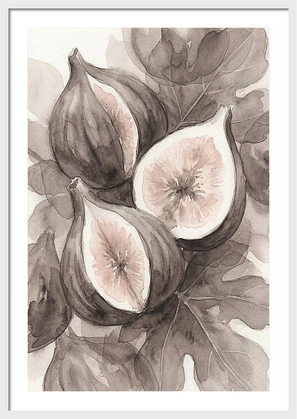 Fresh Figs Revealed In Watercolor