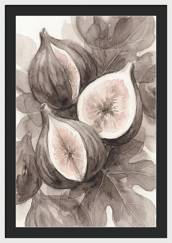 Fresh Figs Revealed In Watercolor