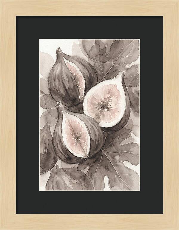 Fresh Figs Revealed In Watercolor