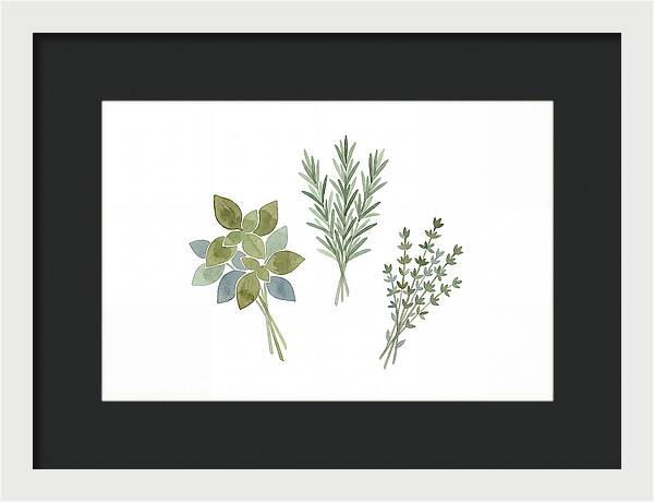 Fresh Herbs Arrangement