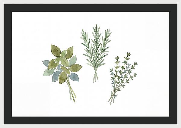 Fresh Herbs Arrangement