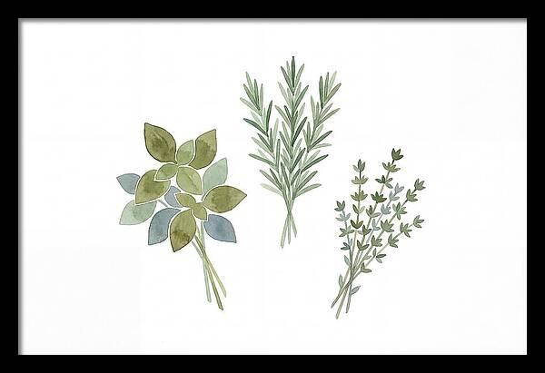 Fresh Herbs Arrangement