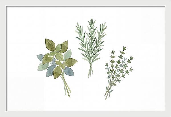 Fresh Herbs Arrangement