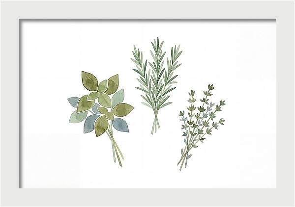 Fresh Herbs Arrangement