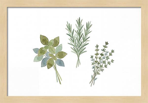 Fresh Herbs Arrangement