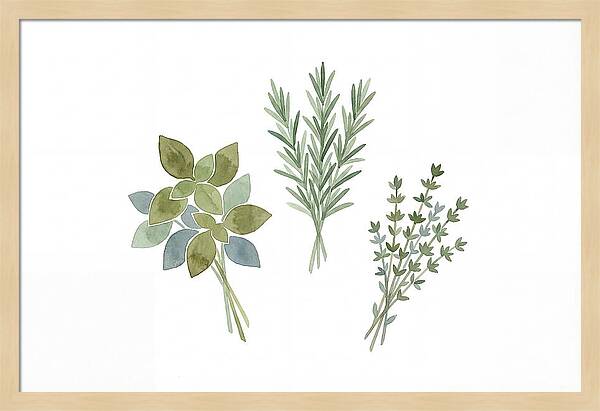Fresh Herbs Arrangement