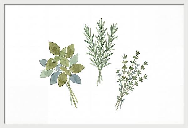 Fresh Herbs Arrangement