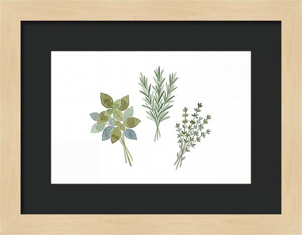 Fresh Herbs Arrangement