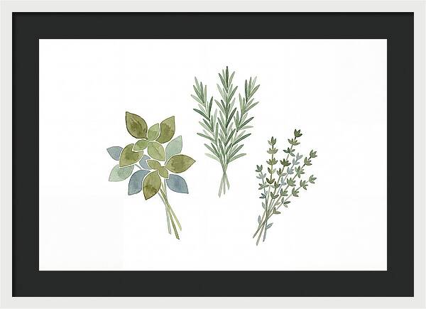 Fresh Herbs Arrangement