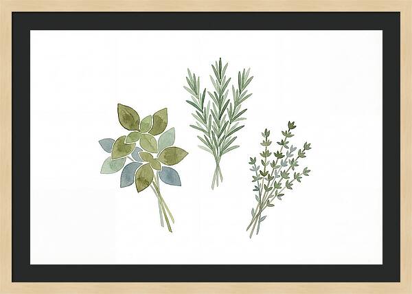 Fresh Herbs Arrangement