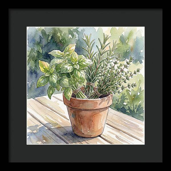 Fresh Herbs In A Pot