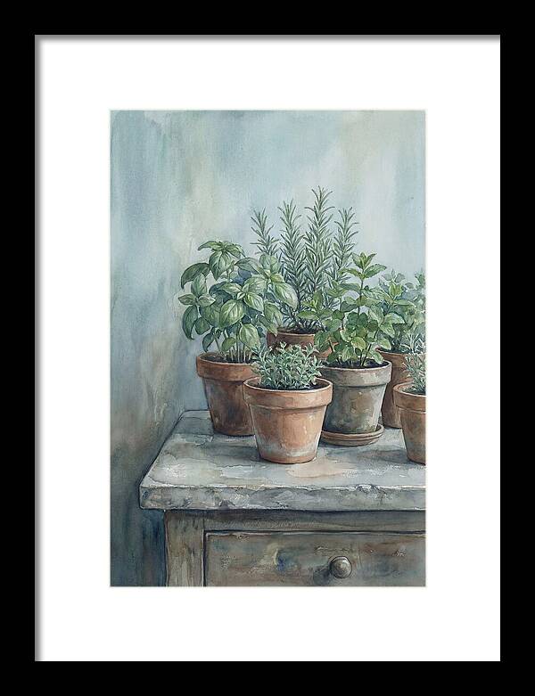 Fresh Herbs In Terracotta Pots