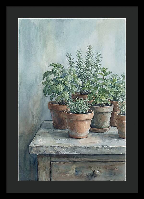 Fresh Herbs In Terracotta Pots
