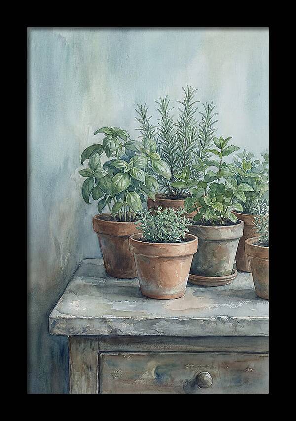 Fresh Herbs In Terracotta Pots