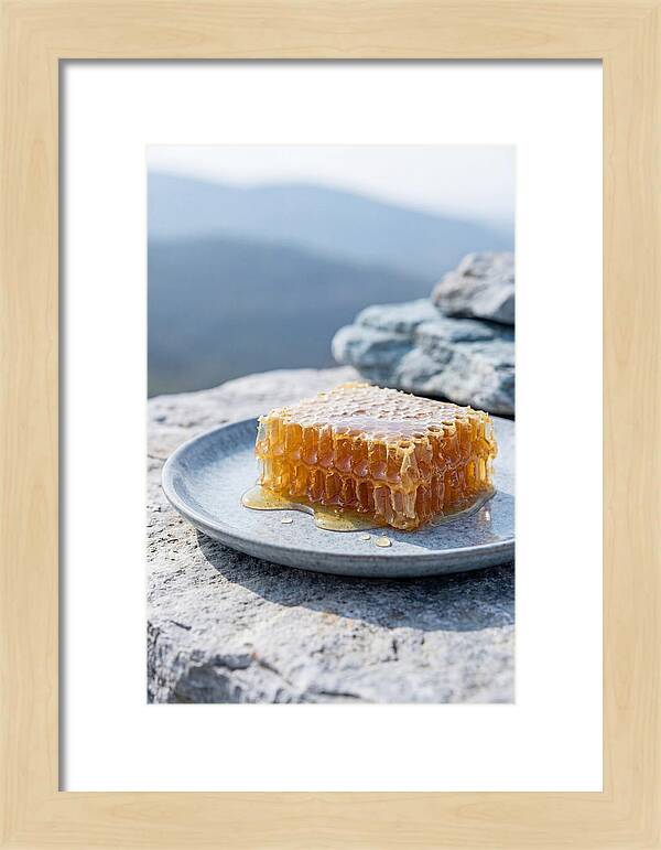 Fresh Honeycomb Dripping With Golden Honey