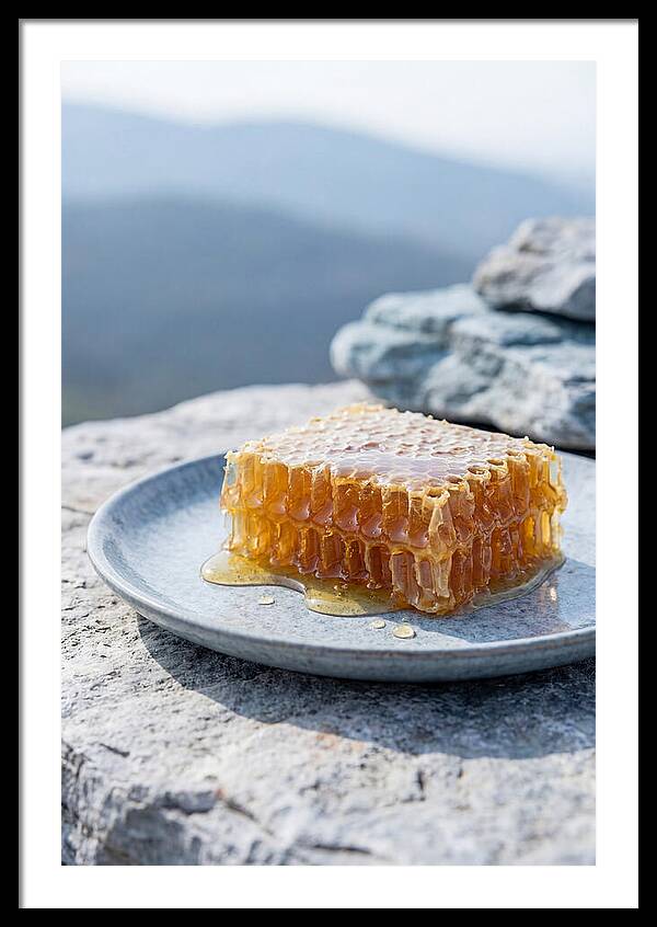 Fresh Honeycomb Dripping With Golden Honey