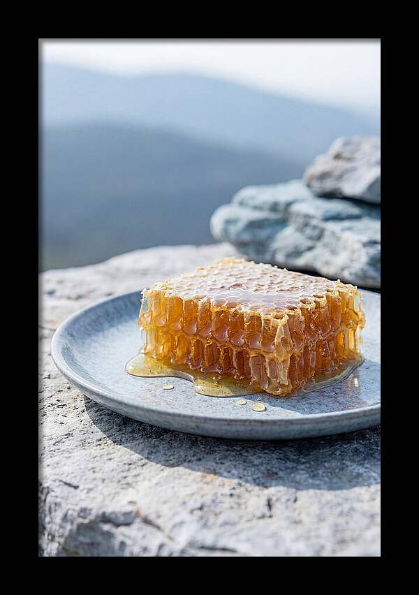 Fresh Honeycomb Dripping With Golden Honey