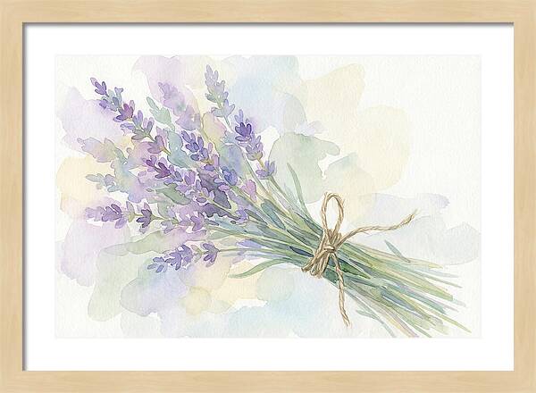 Fresh Lavender Stems Tied With Twine