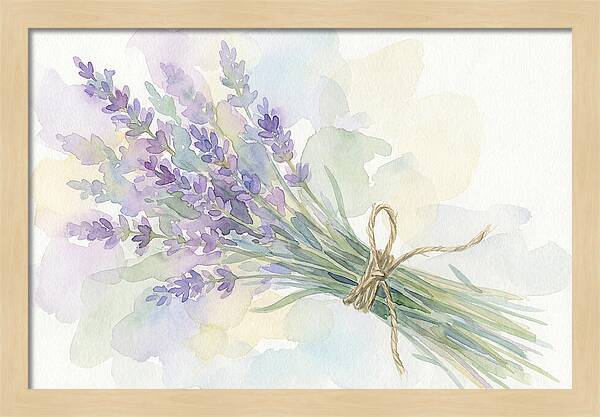 Fresh Lavender Stems Tied With Twine