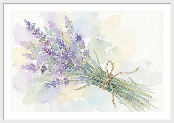 Fresh Lavender Stems Tied With Twine