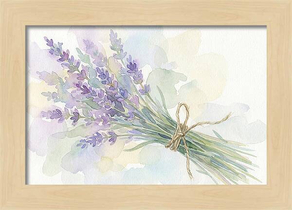 Fresh Lavender Stems Tied With Twine