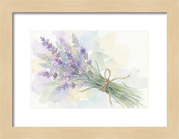 Fresh Lavender Stems Tied With Twine