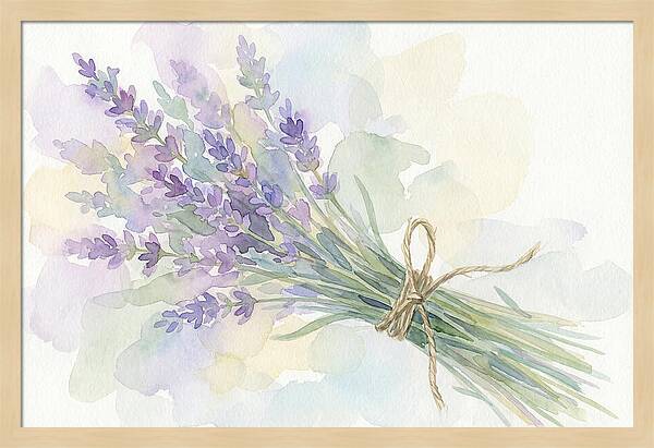 Fresh Lavender Stems Tied With Twine