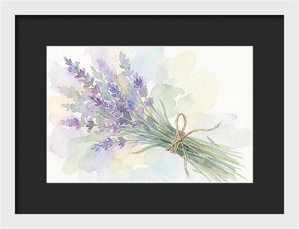 Fresh Lavender Stems Tied With Twine