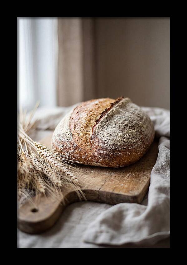 Freshly Baked Artisan Bread