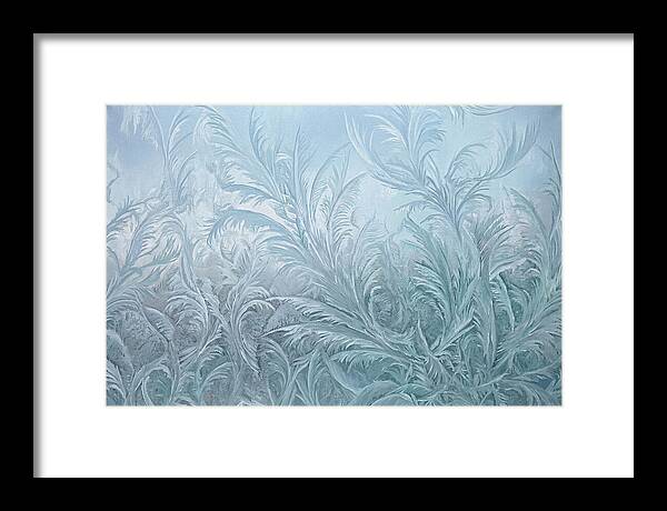 Frost Fern Patterns On Glass