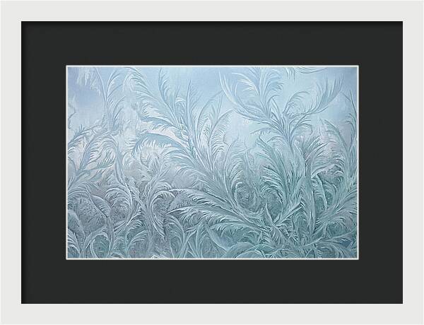 Frost Fern Patterns On Glass