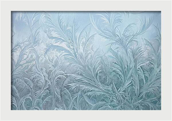 Frost Fern Patterns On Glass
