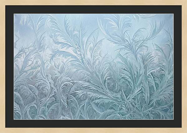 Frost Fern Patterns On Glass