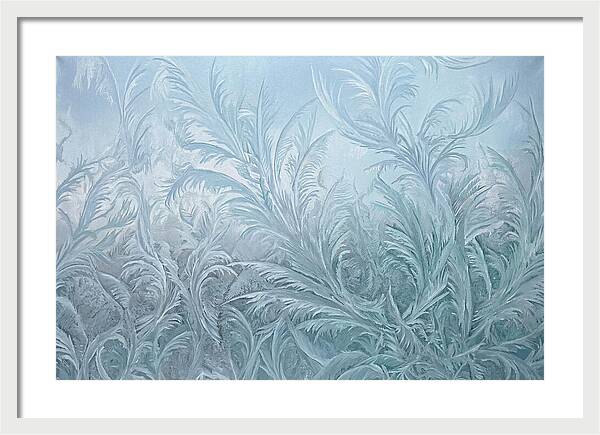 Frost Fern Patterns On Glass