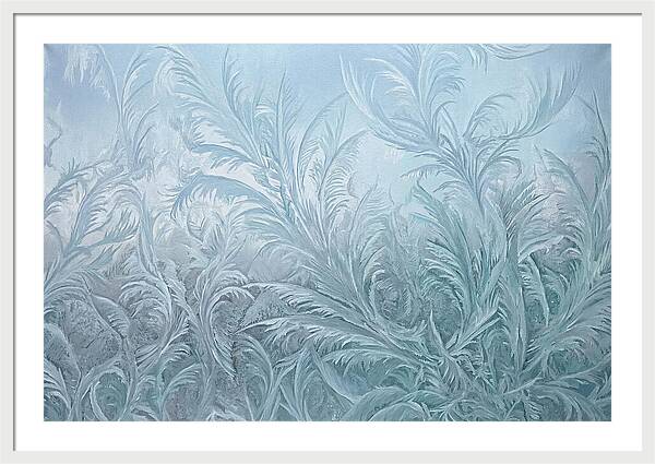 Frost Fern Patterns On Glass