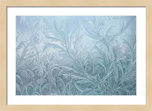Frost Fern Patterns On Glass