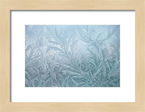 Frost Fern Patterns On Glass