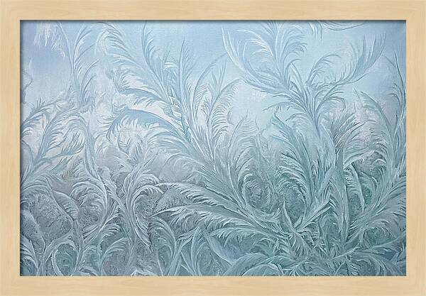 Frost Fern Patterns On Glass