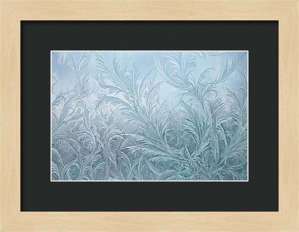 Frost Fern Patterns On Glass