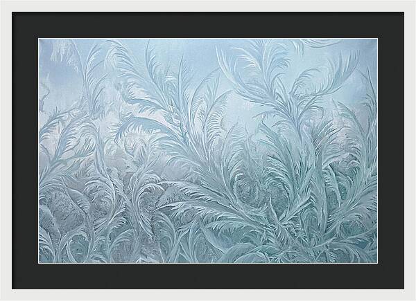 Frost Fern Patterns On Glass