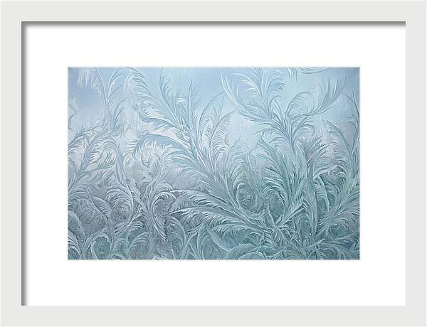 Frost Fern Patterns On Glass