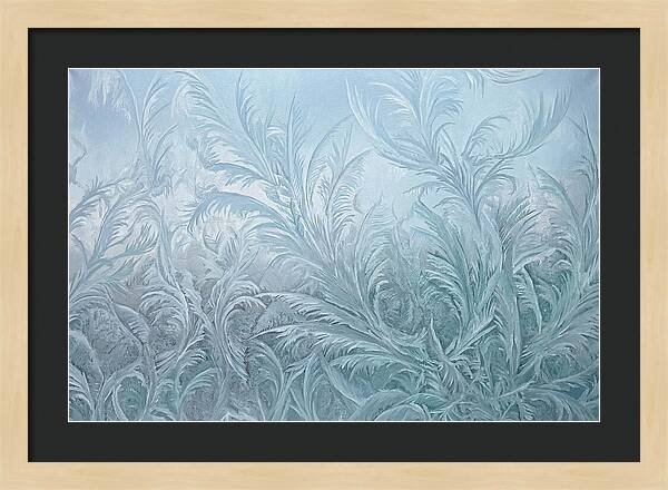 Frost Fern Patterns On Glass