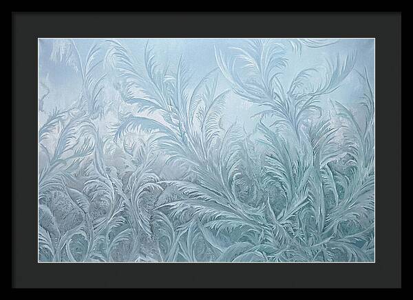 Frost Fern Patterns On Glass