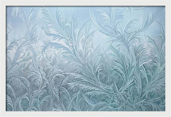 Frost Fern Patterns On Glass