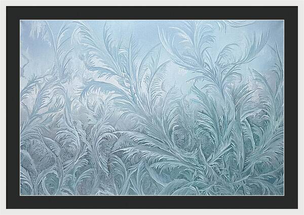 Frost Fern Patterns On Glass