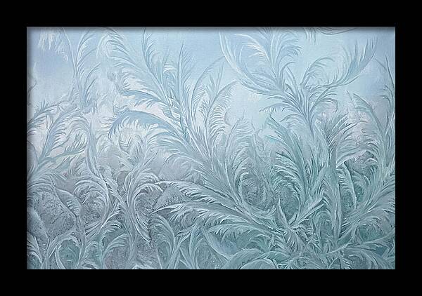 Frost Fern Patterns On Glass