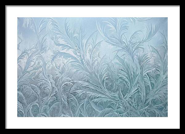 Frost Fern Patterns On Glass